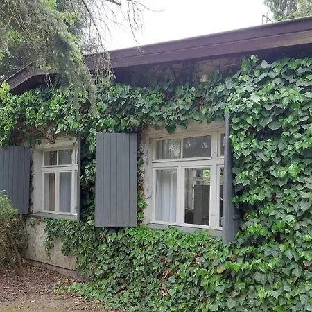 Bialy Domek W Puszczykowie Tatil Evi